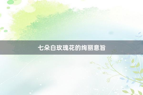 七朵白玫瑰花的绚丽意旨