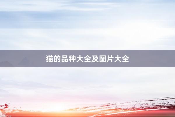 猫的品种大全及图片大全