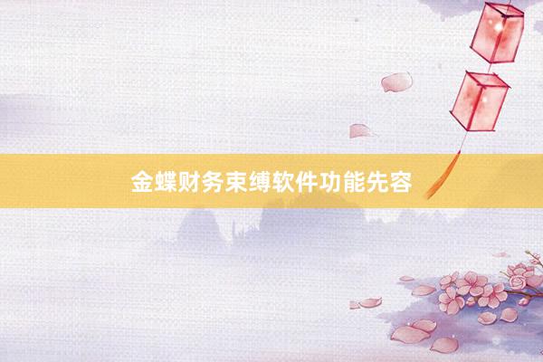 金蝶财务束缚软件功能先容